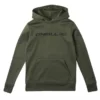ONeill Pull O'Neill Boys Rutile Hooded Fleece Forest Night