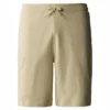 Short The North Face Homme Graphic Short Light Gravel -Teva Boutique 1 3s4f 3x4 hero