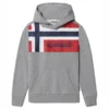 Sweat Napapijri Youth Beri H Medium Grey Melange