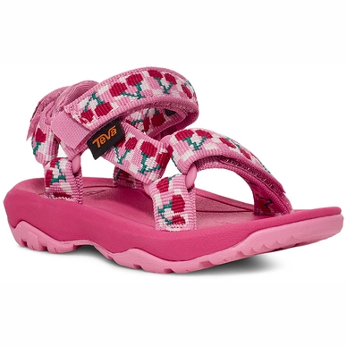 Sandales Teva Toddler Hurricane XLT2 Picnic Cherries Rosebloom Bright White 2 Sandales Teva Toddler Hurricane XLT2 Picnic Cherries Rosebloom Bright White – Image 2