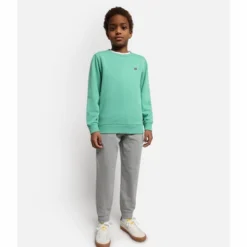 Pull Napapijri Kids Balis Crew 1 Green Spruce -Teva Boutique 3 NA4G4LGF3 ALT1
