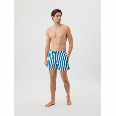 Short De Bain Bjorn Borg Homme Print Swim Shorts Mc Stripe 4 Short De Bain Bjorn Borg Homme Print Swim Shorts Mc Stripe – Image 4