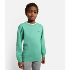 Pull Napapijri Kids Balis Crew 1 Green Spruce -Teva Boutique 6 NA4G4LGF3 HERO