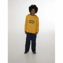 Sweat à Capuche Protest Boys Wizzet Jr Hoody Dark Yellow -Teva Boutique Wizzet20geel 2